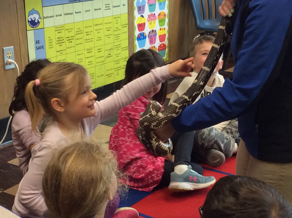 K students petting a snake