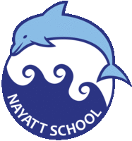 Nayatt News Update, 10.6.2019