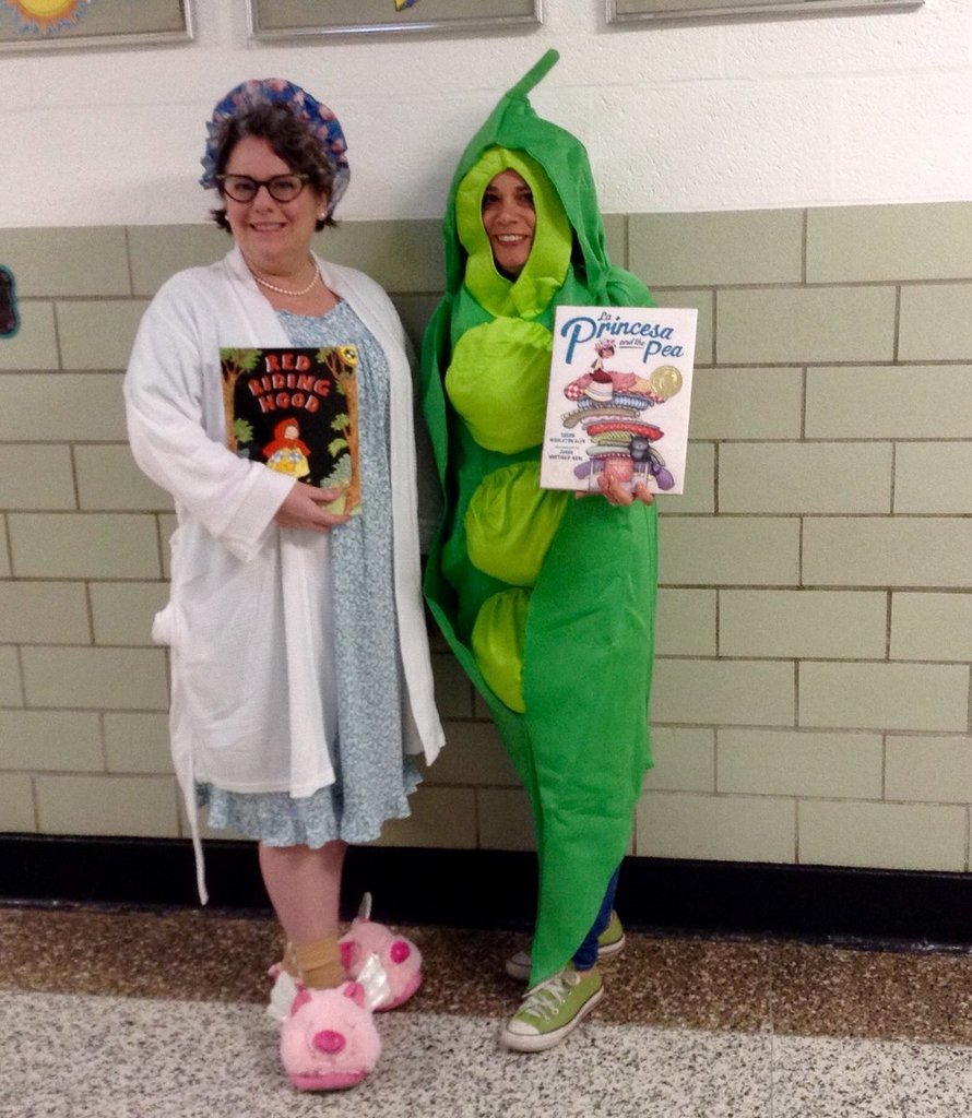 teachers dressed up as book characters