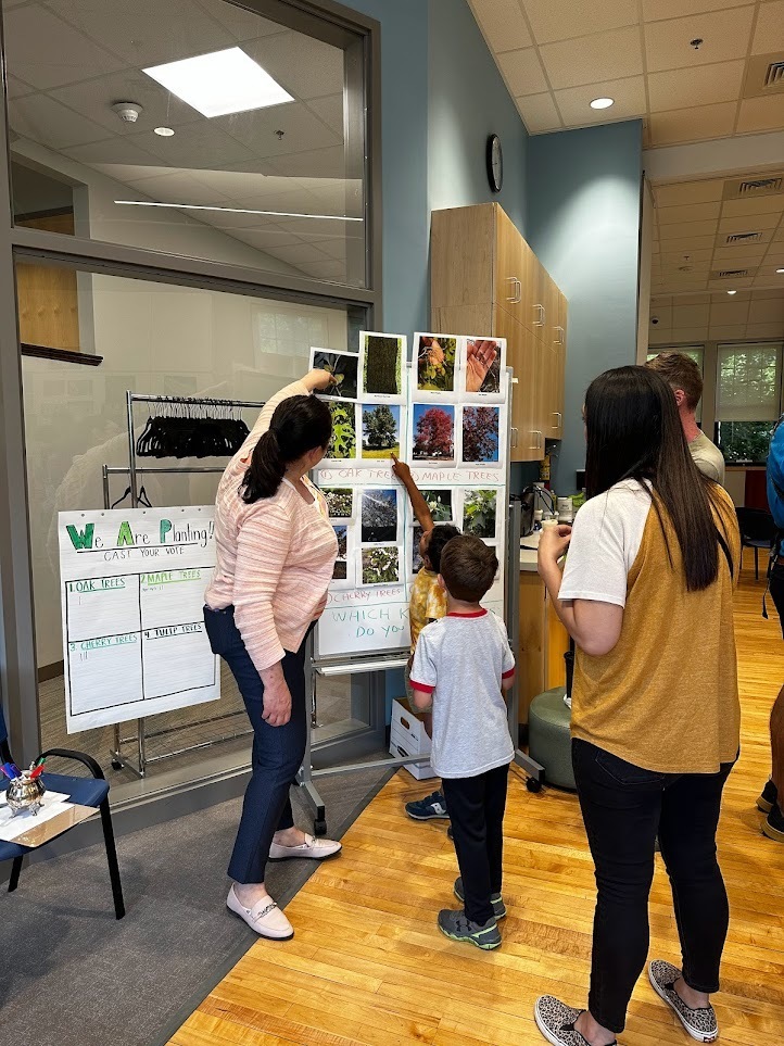 children looking at trees